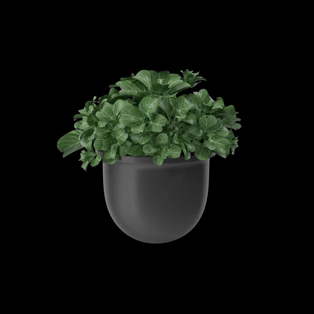 Plant Pot — image 1 of 2